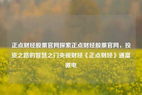 正点财经股票官网探索正点财经股票官网，投资之路的智慧之门央视财经《正点财经》通富微电