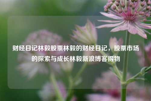 财经日记林毅股票林毅的财经日记，股票市场的探索与成长林毅新浪博客得物