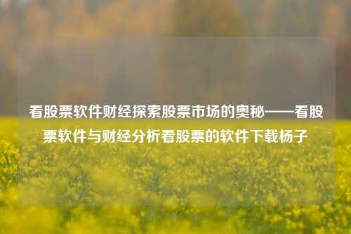 看股票软件财经探索股票市场的奥秘——看股票软件与财经分析看股票的软件下载杨子