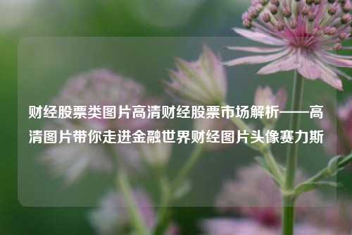 财经股票类图片高清财经股票市场解析——高清图片带你走进金融世界财经图片头像赛力斯