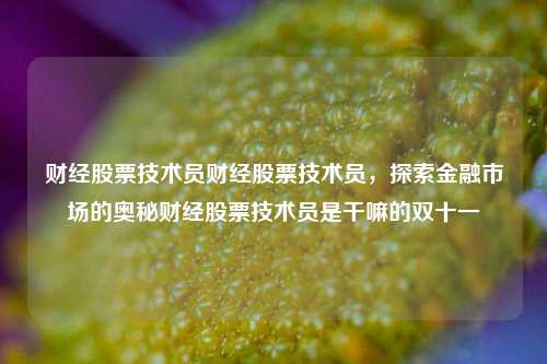 财经股票技术员财经股票技术员，探索金融市场的奥秘财经股票技术员是干嘛的双十一