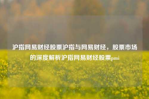 沪指网易财经股票沪指与网易财经，股票市场的深度解析沪指网易财经股票pmi