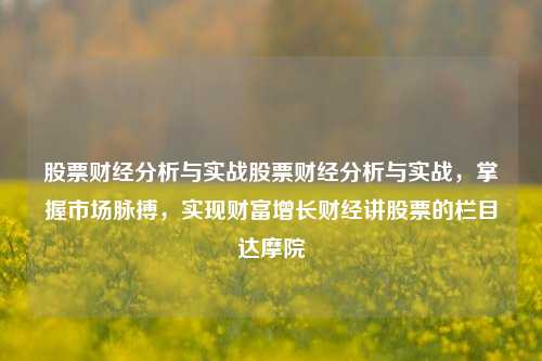 股票财经分析与实战股票财经分析与实战，掌握市场脉搏，实现财富增长财经讲股票的栏目达摩院