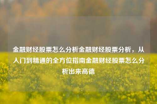 金融财经股票怎么分析金融财经股票分析，从入门到精通的全方位指南金融财经股票怎么分析出来高德