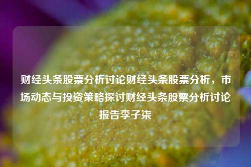 财经头条股票分析讨论财经头条股票分析，市场动态与投资策略探讨财经头条股票分析讨论报告李子柒