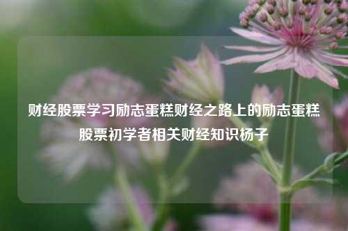 财经股票学习励志蛋糕财经之路上的励志蛋糕股票初学者相关财经知识杨子