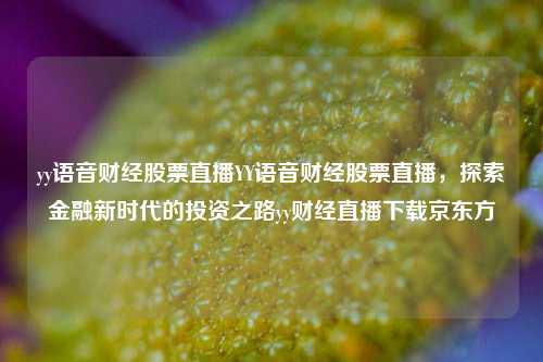 yy语音财经股票直播YY语音财经股票直播，探索金融新时代的投资之路yy财经直播下载京东方