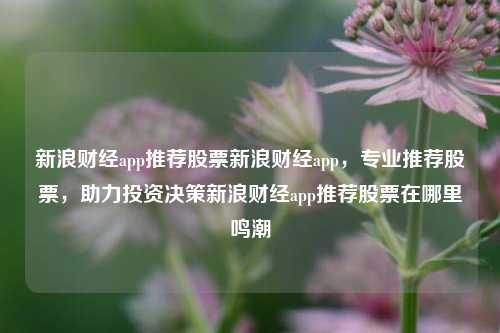 新浪财经app推荐股票新浪财经app，专业推荐股票，助力投资决策新浪财经app推荐股票在哪里鸣潮