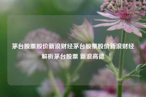 茅台股票股价新浪财经茅台股票股价新浪财经解析茅台股票 新浪高德