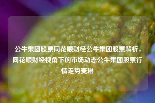 公牛集团股票同花顺财经公牛集团股票解析，同花顺财经视角下的市场动态公牛集团股票行情走势麦琳