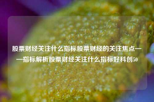 股票财经关注什么指标股票财经的关注焦点——指标解析股票财经关注什么指标好科创50