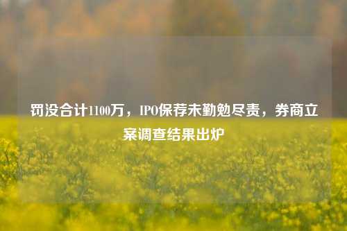 罚没合计1100万，IPO保荐未勤勉尽责，券商立案调查结果出炉