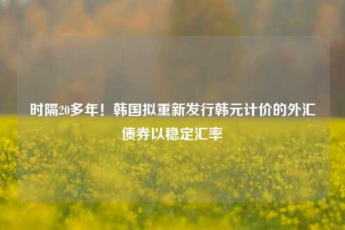 时隔20多年！韩国拟重新发行韩元计价的外汇债券以稳定汇率