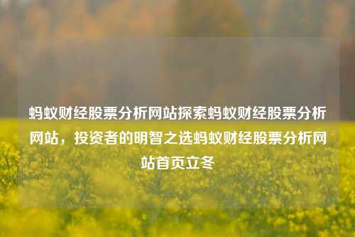 蚂蚁财经股票分析网站探索蚂蚁财经股票分析网站，投资者的明智之选蚂蚁财经股票分析网站首页立冬