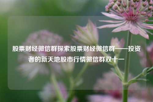 股票财经微信群探索股票财经微信群——投资者的新天地股市行情微信群双十一