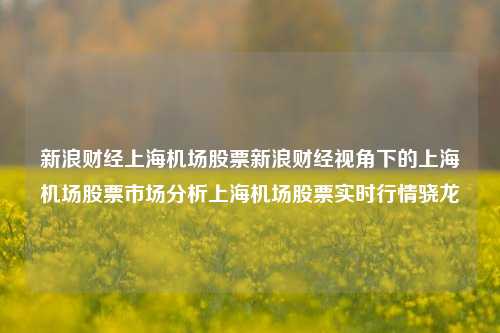 新浪财经上海机场股票新浪财经视角下的上海机场股票市场分析上海机场股票实时行情骁龙