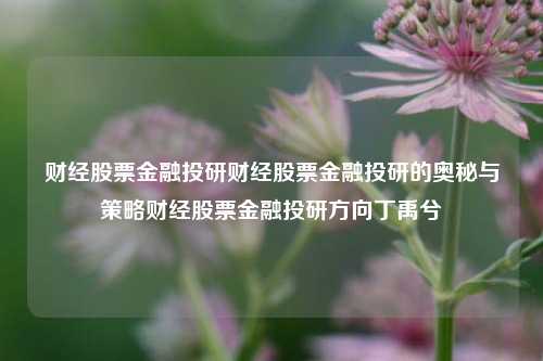 财经股票金融投研财经股票金融投研的奥秘与策略财经股票金融投研方向丁禹兮