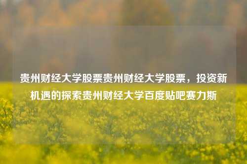 贵州财经大学股票贵州财经大学股票，投资新机遇的探索贵州财经大学百度贴吧赛力斯