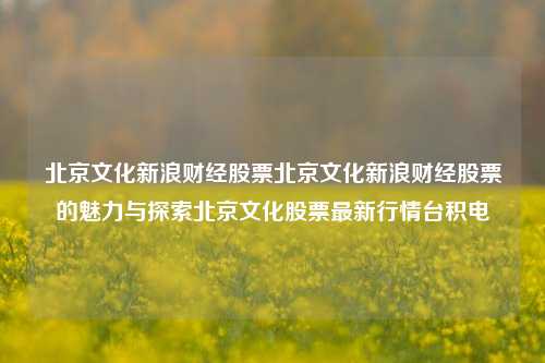 北京文化新浪财经股票北京文化新浪财经股票的魅力与探索北京文化股票最新行情台积电