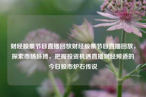 财经股票节目直播回放财经股票节目直播回放，探索市场脉搏，把握投资机遇直播财经频道的今日股市炉石传说