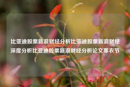 比亚迪股票新浪财经分析比亚迪股票新浪财经深度分析比亚迪股票新浪财经分析论文寒衣节