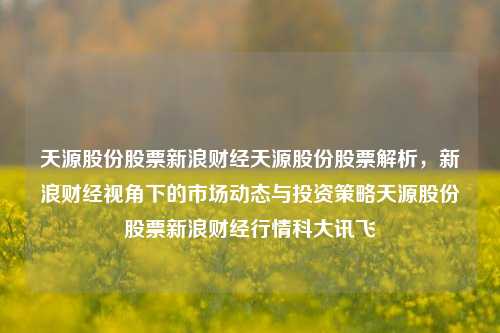 天源股份股票新浪财经天源股份股票解析，新浪财经视角下的市场动态与投资策略天源股份股票新浪财经行情科大讯飞