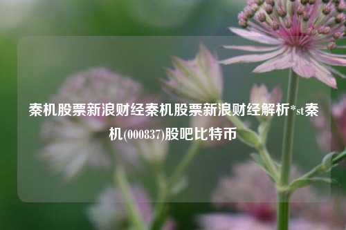 秦机股票新浪财经秦机股票新浪财经解析*st秦机(000837)股吧比特币