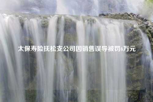 太保寿险抚松支公司因销售误导被罚6万元